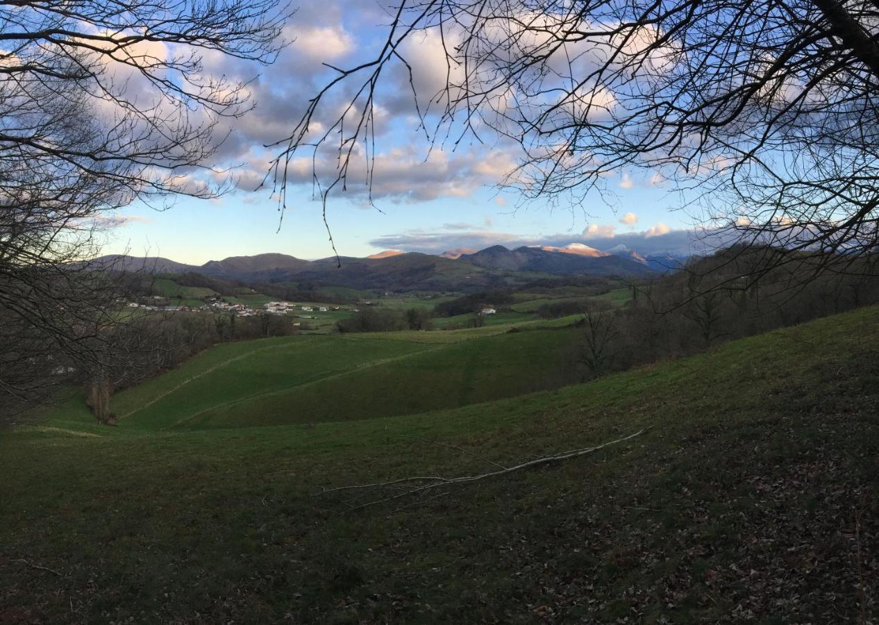 Borda Lodge Jaxu Dış mekan fotoğraf